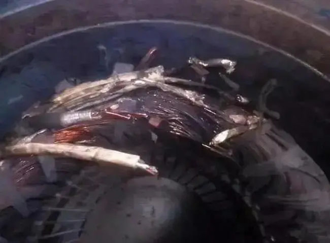 帶熱繼電器保護的電機頻繁燒毀的原因是什么？